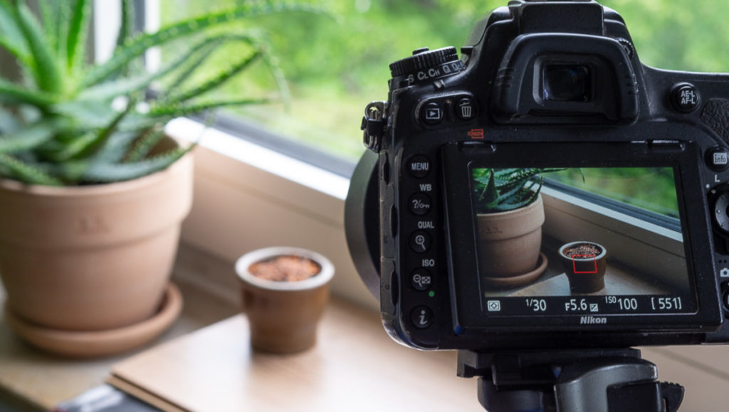Make Your First Time-Lapse Video at Home