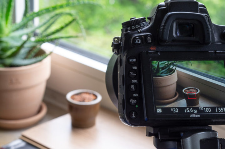 Make Your First Time-Lapse Video at Home