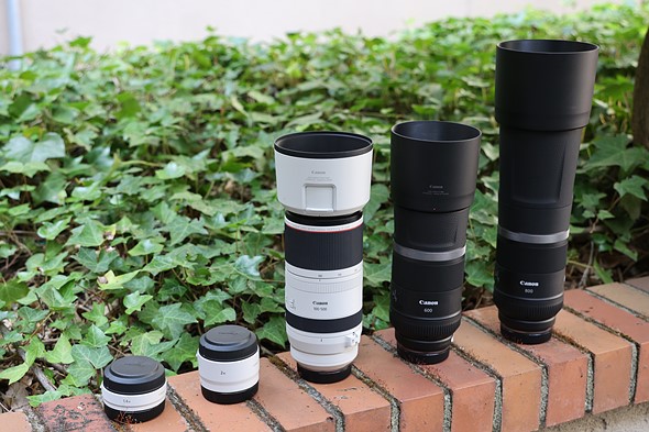 Hands-on with new Canon RF 100-500mm, 600mm and 800mm telephoto lenses