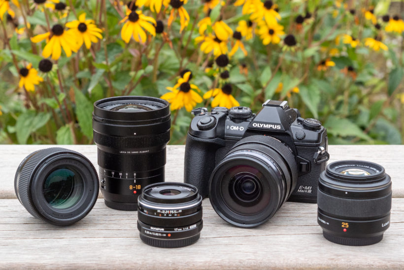 Which mirrorless camera systems have the best lens selection?