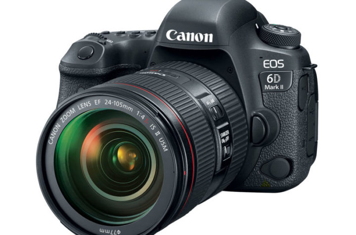 What are the best cheap DSLRs