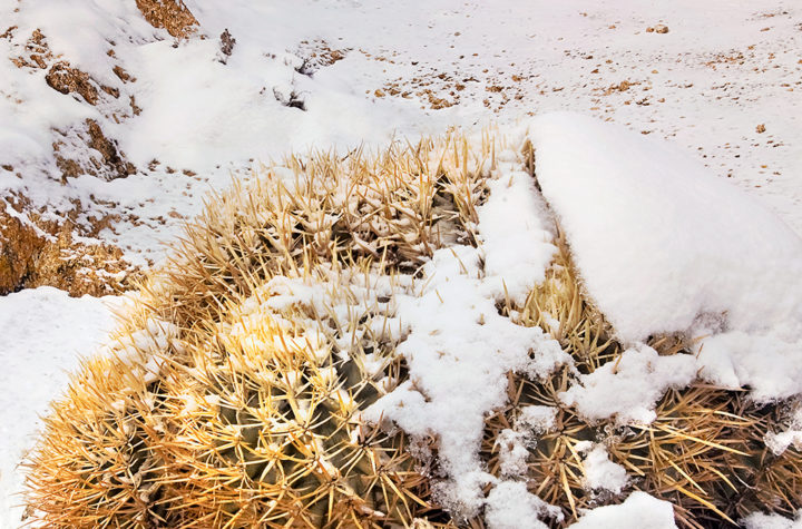 Re-Think Your Winter Landscape Photography