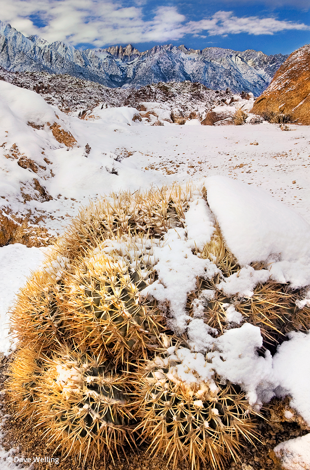 Re-Think Your Winter Landscape Photography